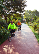 生態透水混凝土